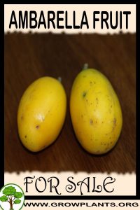 Ambarella fruit for sale