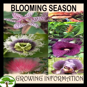 Blooming season