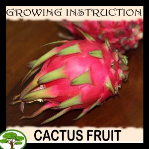 Fruit Grow information