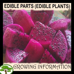 Edible Parts (Edible plants)