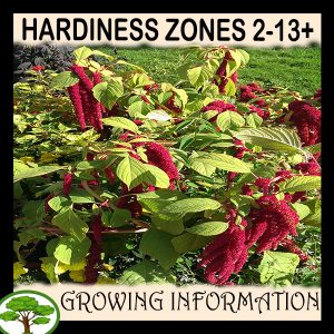 Hardiness zones 2-13+