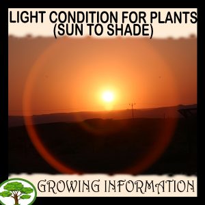 Light condition for plants (Sun to Shade)